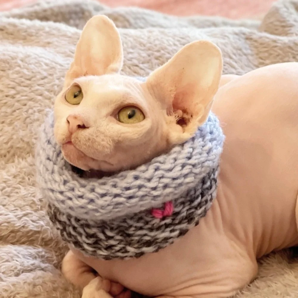 NEW - Handmade Ombré | Calming Scarf | Cowl Scarf | Circle Scarf for Sphynx Cat - Picture 3 of 8